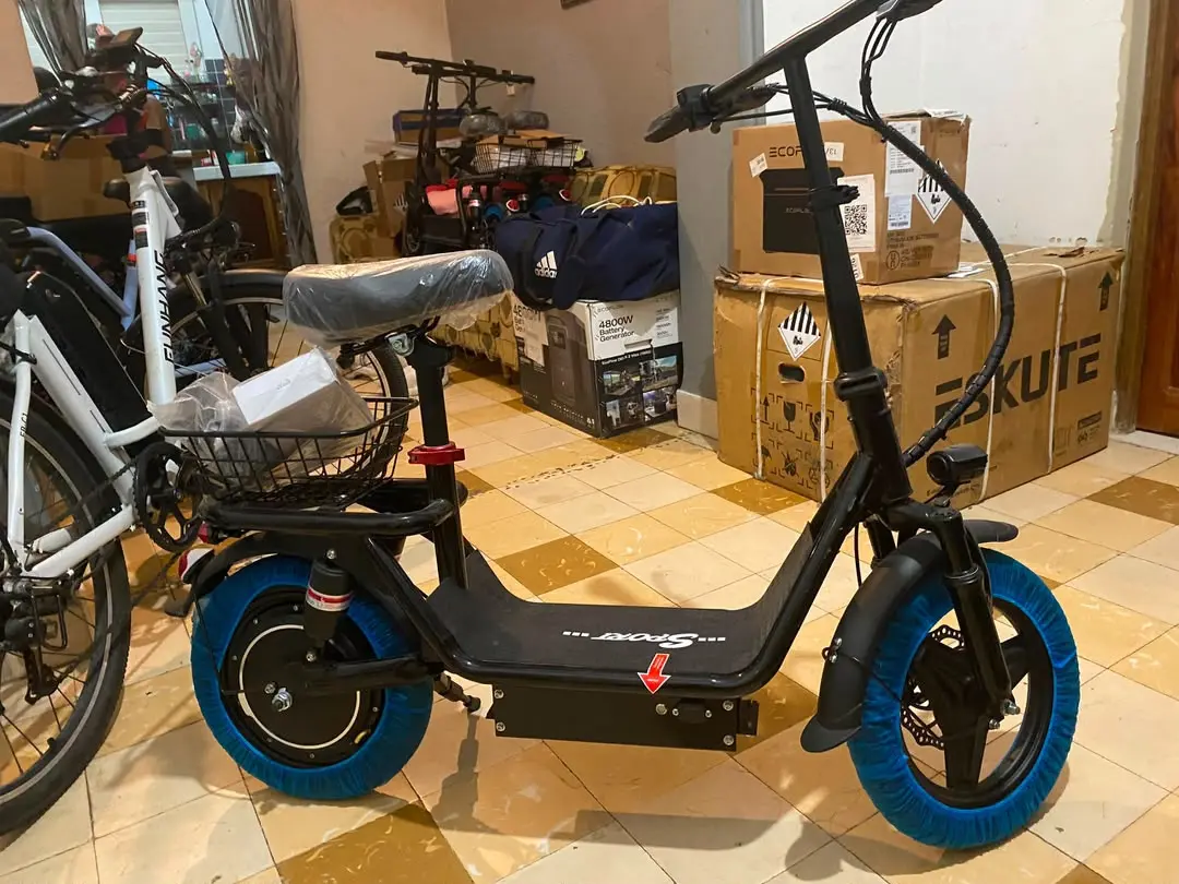 PATINETA-BICICLETA GT12