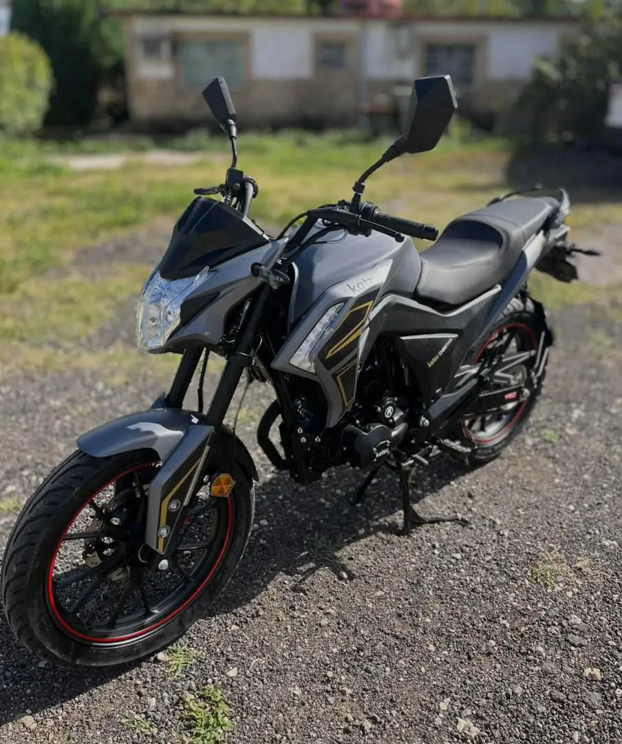 MOTO DEPORTIVA DE COMBUSTIÓN KATZU CHEETAH