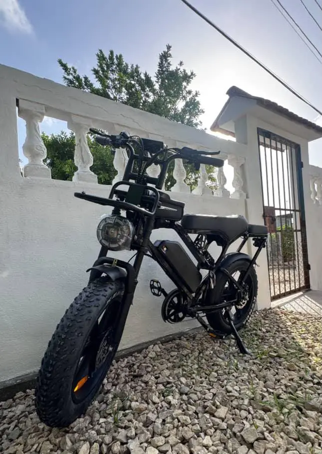 BICICLETA ELÉCTRICA X80 PRO  